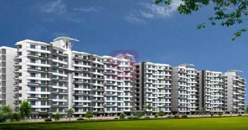 M Chugh Grande Exotica Cover Image